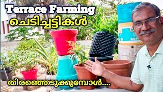 How to choose the right Containers for your Vegetable Garden | Terrace Garden Ideas Malayalam