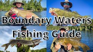 The Ultimate Fishing Guide To The BWCA (species-by-species breakdown!)