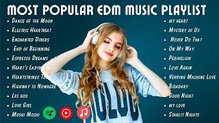 Best Music Mix 2025  EDM Mix Popular Songs 2025  EDM Music Mix 2025
