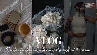 vlog: tj maxx has the goods! errands, cook with me, girls night out + more...