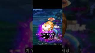 던붕이를 믿습니다