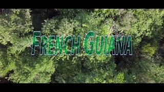 French Guiana Forests by Drone