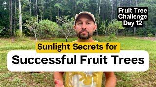 Sunlight Secrets for Successful Fruit Trees - Fruit Tree Challenge Day 12