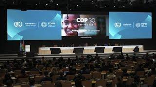 Baku's COP29 legacy: a new era in climate finance or too little, too late?