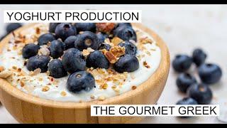 THE GOURMET GREEK: YOGHURT PRODUCTION.