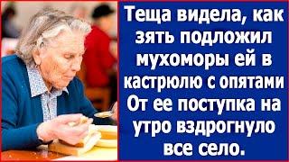 Теща видела, как зять подложил ей мухоморы в кастрюлю с опятами. От ее поступка вздрогнуло все село