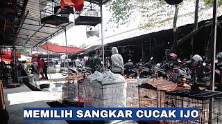 Memilih Sangkar Cucak Ijo