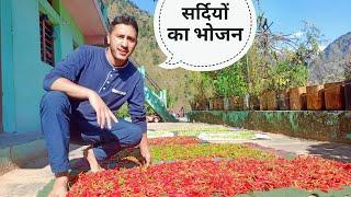 पहाड़ों में सर्दियों के लिए खाद्य संग्रह || Food Preservation And Storage For Winter || Cool Pahadi