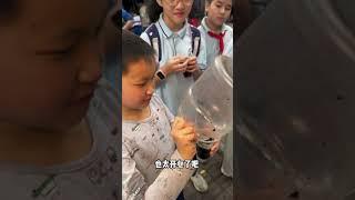 广西小学门口的路边摊 物价真的震惊到我！你们感觉值不值 #路边摊美味 #街边小吃 #街头美食 #chinastreetfood #streetfood #chinafood #shorts