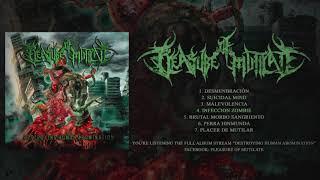 PLEASURE OF MUTILATE - DESTROYING HUMAN ABOMINATION (OFFICIAL ALBUM STREAM)