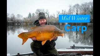 Mid Winter Carp