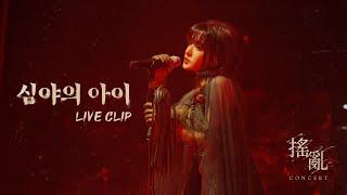 심규선 '심야의 아이' LIVE｜2024 심규선 단독 콘서트 '요란 搖亂 : Tempest'