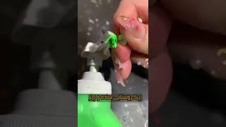 حفره‌ی طلایی!! شما بودین چیکار میکردین