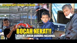 MODAL NEKAT!! Bocah SD Gantang Cucak Ijo Lawan Burung Nasional