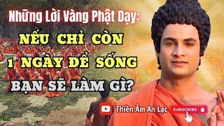 Lời Vàng Phật Dạy: Nếu Chỉ Còn 1 Ngày Để Sống - Bạn Sẽ Làm Gì?