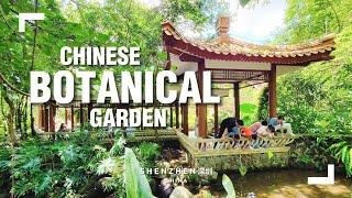 China Gardens: The Fairy Lake Botanical Garden in Shenzhen 