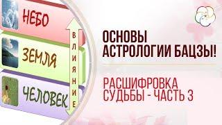 Полный анализ Бацзы для начинающих. Китайский календарь и  Расшифровка судьбы по дате рождения/ 3