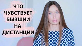 Что чувствует бывший / Как вернуть отношения