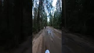 Катаюсь с питбайкером!!#eduardoenduro#enduro #spring #shorts #pitbaike #motocrorss #moped