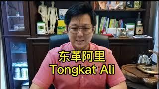 【Tongkat Ali】Yellow, Red, Black??!! 东革阿里，红阿里，黑阿里，黄阿里.....