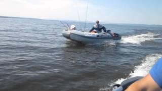 Две Касатки-365 + Yamaha 15