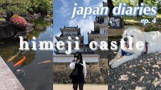 himeji castle (japan diaries ep. 4)