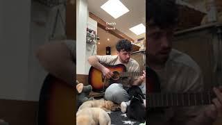 Beautiful things with the pups - Benson Boone #acousticcovers #puppies #cover