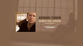 Avishai Cohen - Tzaadi (Audio)