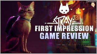 The Best Game in 2022 - Stray (Game Review)