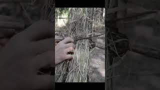 How I Built a Grass Hut with My Hands  #survival #bushcraft #primitiveplus #diy #forest #cooking