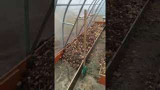 Грядки засыпаю листовой землей.