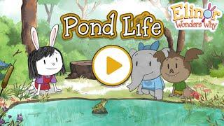 Elinor Wonders Why Pond Life | PBS Kids