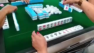 Aussie Mahjong #22