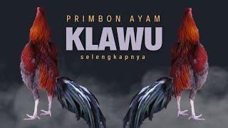 KEISTIMEWAAN AYAM KLAWU MENURUT PRIMBON @jago102