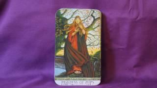 Druidcraft Tarot Full Flip Through