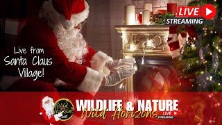   Wild Horizons Live: A Magical Journey to Santa Claus Village