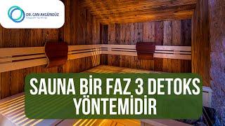 Sauna Bir Faz 3 Detoks Yöntemidir | Dr. Can Akgündüz