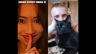 #Тренды #домашниеживотные #реки #funny #красиваякошка #улыбка