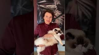 Как найти работу в 2025