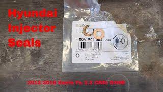 Hyundai Santa Fe Injector Seals