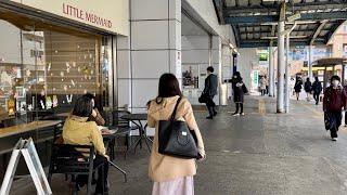[JAPAN/Yokohama]Yamate to Negishi Station walking scenery[Kanagawa]