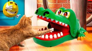 Самые смешные видео с животными Приколы с Котами и Собаками 2023 #2