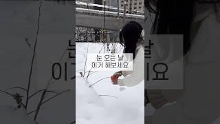 이틀만에 인스타 100만뷰 찍은 눈놀이️