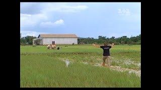 Красные кхмеры - Мир наизнанку. Камбоджа. 1 сезон, 7 серия (Архив 2010 года)