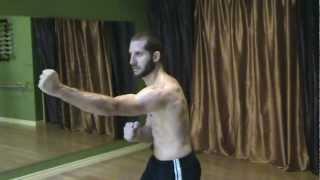 Hard QiGong Fist Set Part 2- White Crane