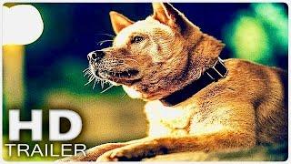 HACHIKO 2: SIEMPRE A TU LADO Tráiler Español Latino (2024)