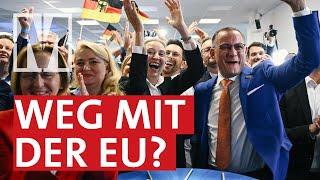 Feindbild EU: Der Osten nach der Europawahl - MONITOR