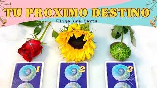 ¿Hacía Donde Va Tu Vida? - Elige una Carta   Tarot Interactivo