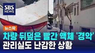 차량 뒤덮은 빨간 액체 '경악'…관리실도 난감한 상황 / SBS / 뉴스딱