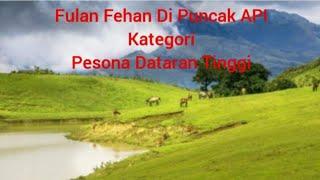 Sabana Fulan Fehan Di Puncak Anugerah Pesona Indonesia NTT Terbaik